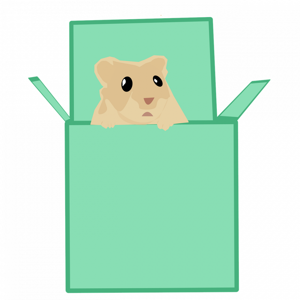 Arab Hamster: En fullständig guide på 2000 ord