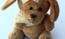 Veterinär göteborg  trygg vård för hund, katt och smådjur